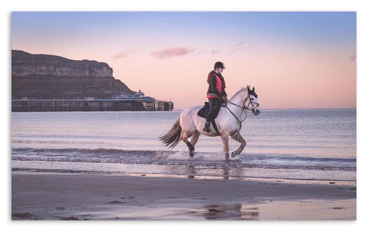 Superb Cintra Beachside Apartments Llandudno Exteriér fotografie